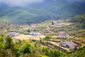Houses in the middle of a tea plantation Royalty Free Stock Photo