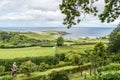 Tea plantations on the island of Sao Miguel in the Azores, Portugal