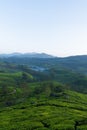 Tea plantations and mountain ranges covered in fog in Munnar Royalty Free Stock Photo