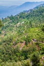 Tea plantations in mountains near Haputale, Sri Lan