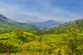 Tea plantations in Munnar, Kerala, India .A beautiful landscape Royalty Free Stock Photo