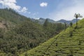 Tea plantations in Munnar, Kerala, India. Beautiful tea plantations landscape. Royalty Free Stock Photo