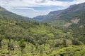 Tea plantations in Munnar, Kerala, India. Beautiful tea plantations landscape. Royalty Free Stock Photo