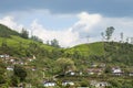 Tea plantations in Munnar, Kerala, India. Beautiful tea plantations landscape. Royalty Free Stock Photo