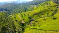 Tea plantations in Munnar, Kerala, India. Beautiful views of green hills