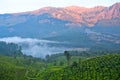 Tea plantations in Munnar, Kerala, South India Royalty Free Stock Photo