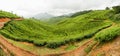 Tea plantations panorama munnar india Royalty Free Stock Photo