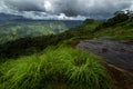 Tea Plantations and Shola forest near Valparai, Tamilnadu,India,