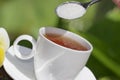 Tea pleasure Royalty Free Stock Photo