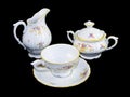 Tea porcelain set Royalty Free Stock Photo