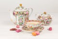 Tea and porcelain set on the table Royalty Free Stock Photo