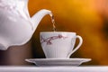 Tea pouring Royalty Free Stock Photo