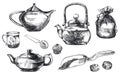 Tea pu-erh. set of vector sketches