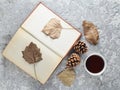 Tea when reading a book. Tea, book, fallen leaves, bumps on a concrete table. Autumn winter atmosphere for reading a new story. Royalty Free Stock Photo