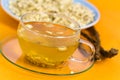 Tea of Root of Marshmallow- herbal Medicine Royalty Free Stock Photo