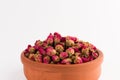 Tea rose buds in a clay pot isolated on white Royalty Free Stock Photo