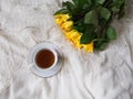 Tea and roses Royalty Free Stock Photo