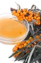 Tea of sea-buckthorn Royalty Free Stock Photo