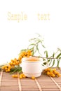 Tea with sea-buckthorn Royalty Free Stock Photo