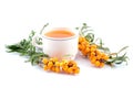 Tea with sea-buckthorn Royalty Free Stock Photo