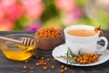 Tea of sea-buckthorn berries with honey on wooden table blurred garden background Royalty Free Stock Photo