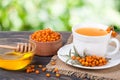 Tea of sea-buckthorn berries with honey on wooden table blurred garden background Royalty Free Stock Photo