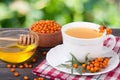 Tea of sea-buckthorn berries with honey on wooden table blurred garden background Royalty Free Stock Photo