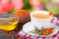 Tea of sea-buckthorn berries with honey on wooden table blurred garden background Royalty Free Stock Photo