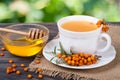 Tea of sea-buckthorn berries with honey on wooden table blurred garden background Royalty Free Stock Photo