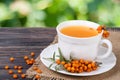 Tea of sea-buckthorn berries with honey on wooden table blurred garden background Royalty Free Stock Photo