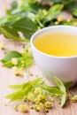 Lime blossom tea with fresh lime blossoms Royalty Free Stock Photo