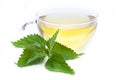 Healing plants: Urtica dioica - nettle tea