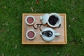 Tea service, white china with black tea in the natural background Royalty Free Stock Photo