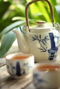 Tea set Royalty Free Stock Photo