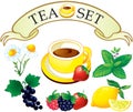 Tea set aromatic plants