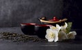 Tea set with green tea and Jasmine flowers on a black background. Herbal medicine Royalty Free Stock Photo