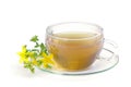 Tea St Johns wort 01