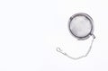 Tea steeper isolated on a white background Royalty Free Stock Photo