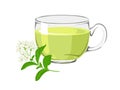 Tea with stevia. Glass cup with a drink and a natural sweetener