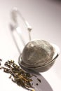 TEA STRAINER Royalty Free Stock Photo