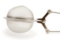 Tea-strainer macro Royalty Free Stock Photo