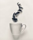 Tea. Style minimalism. black and white photo. Royalty Free Stock Photo