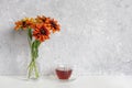 Tea time. Black tea in transparent cup with saucer and bouquet of orange flowers coneflowers in vase on table agains gray stone Royalty Free Stock Photo