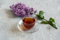 Tea time. Black tea in transparent cup with saucer and branch of lilac on gray table Royalty Free Stock Photo