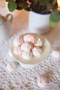 Tea time. Lunch with diet dessert white and pink marshmallows Royalty Free Stock Photo