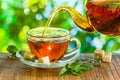 Tea time. Pouring out hot tea into a cup. Green nature background Royalty Free Stock Photo