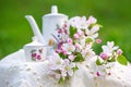 Tea time in the spring garden with tree blossom Royalty Free Stock Photo