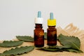 Tea tree essential oil in a small bottle. Selective focus Royalty Free Stock Photo