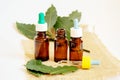 Tea tree essential oil in a small bottle. Selective focus Royalty Free Stock Photo