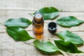 Tea tree essential oil in a small bottle. Selective focus Royalty Free Stock Photo